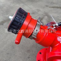 可调式消防水炮PL8固定式消防水炮移动高压水炮泡沫炮水两用