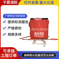 森林防火往复式灭火水枪单兵灭火水枪背负式水囊水桶灭火水枪厂家