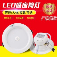 LED消防应急筒灯 工程商用嵌入式2.5寸声控人体感应应急照明筒灯