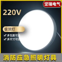 220V消防应急照明吸顶灯 应急灯具 带人体红外线感应和声光控感应