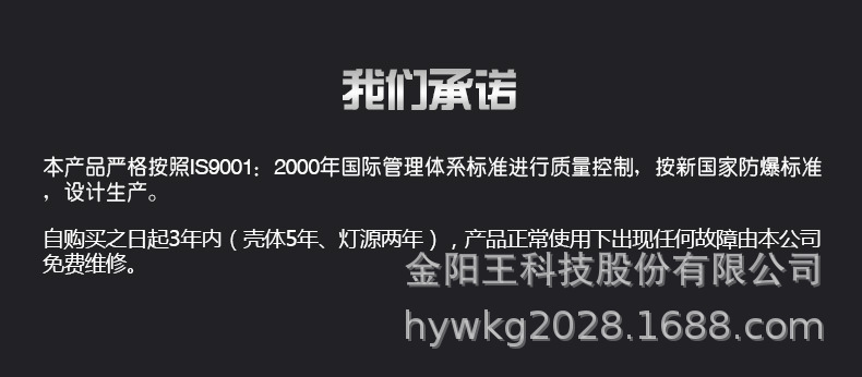 矿用隔爆型LED巷道灯-金阳王科技